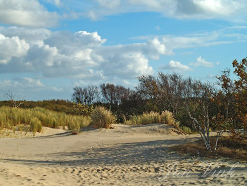 Landschap in het Zwanenwater