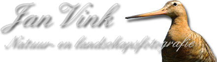 Logo Jan Vink fotografie