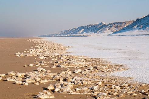 Sneeuw en brokken ijs, op het strand van Heemskerk