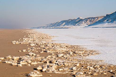 Sneeuw en brokken ijs, op het strand van Heemskerk 