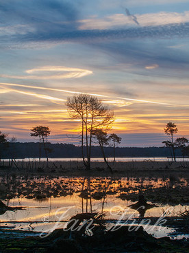 Kalmthoutse Heide, zonsopkomst, opkomende zon, bij het Stappersven