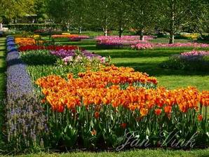 De Keukenhof in Lisse