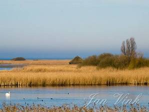 Zuidwaard, bij Piaam en Makkum, met vogelkjikhut De Ral