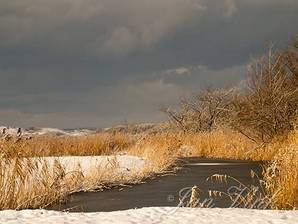 Infiltratiekanaal, in besneeuwd duinlandschap, sneeuw, infiltratiegebied, Noordhollands Duinreservaat, Castricum