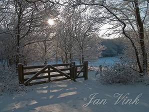 Hek, in een besneeuwd duinlandschap, sneeuw, Noordhollands Duinreservaat