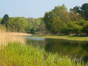 Het Zwarteveldkanaal, in het voorjaar, lente, Amsterdamse Waterleiding Duinen