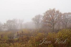 Landschap, moeras in de mist, Zwanenwater
