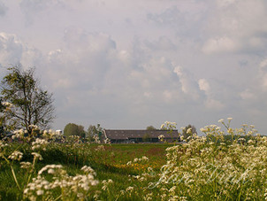 Boerderij, in de Krommenieër Woudpolder