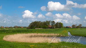 Wiel of kolk, in landschap, Noordeindermeerpolder