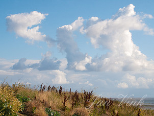 Wolken, wolkenformatie, boven de Waddenzee, begroeide dijk bij Den Oever